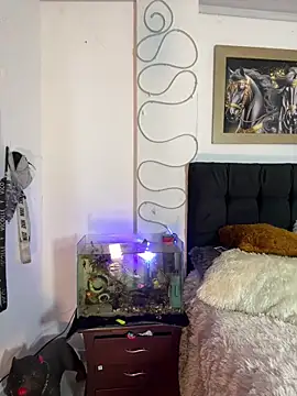 Snapshot of CRAZY-BOY99 chatting on December 15, 2025, 11:38 am CRAZY-BOY99 online show from December 15, 2025, 11:38 am