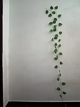 Snapshot of Neha-Bhabhi-Rasily chatting on March 24, 2026, 3:50 am Neha-Bhabhi-Rasily online show from March 24, 2026, 3:50 am