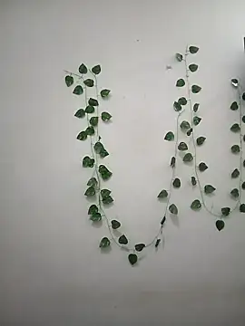 Snapshot of Neha-Bhabhi-Rasily chatting on April 7, 2026, 11:34 am Neha-Bhabhi-Rasily online show from April 7, 2026, 11:34 am