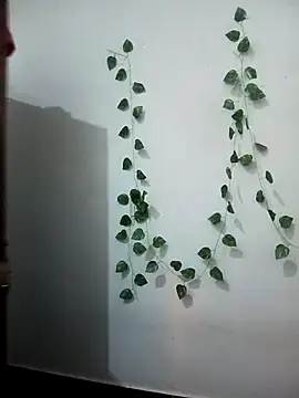 Neha-Bhabhi-Rasily online show from February 17, 2026, 7:11 pm