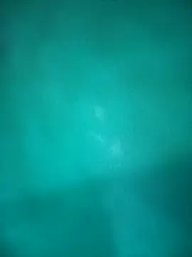 Neha-Bhabhi-Rasily online show from October 29, 2025, 4:50 pm