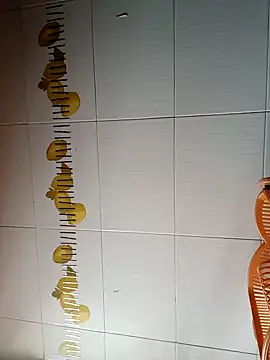 BellyDancer1 online show from October 29, 2025, 8:35 am