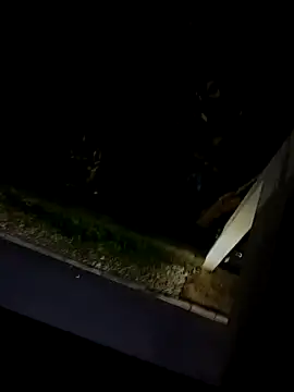 BUTTerflyTODAY online show from March 1, 2026, 3:39 am