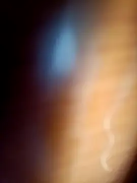 gordiricosv online show from February 14, 2026, 9:37 pm