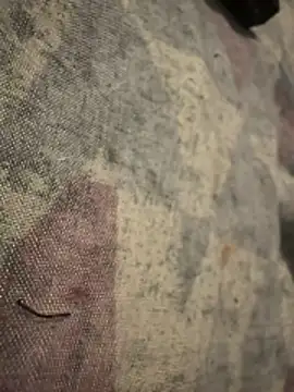 Snapshot of 6poundtown9 chatting on April 3, 2026, 4:24 pm 6poundtown9 online show from April 3, 2026, 4:24 pm