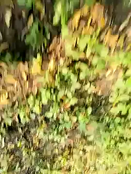 himvilohi08 online show from October 21, 2025, 10:47 am