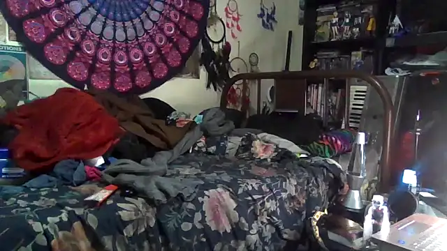 Snapshot of GardeniaFields chatting on December 17, 2025, 4:50 am GardeniaFields online show from December 17, 2025, 4:50 am