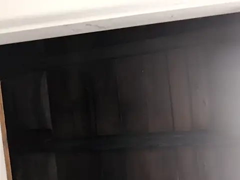 Nick-Ox online show from September 28, 2025, 1:56 am