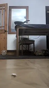 Nick-Ox online show from February 13, 2026, 8:53 pm