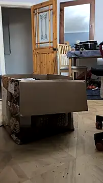 Nick-Ox online show from February 24, 2026, 6:09 pm