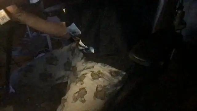 twink69Finger online show from December 20, 2025, 12:30 pm