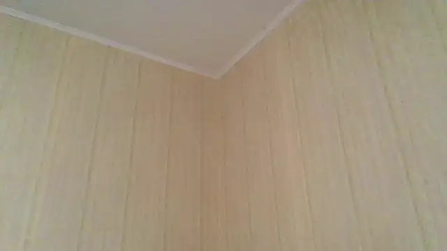 Snapshot of _Black-Panther_ chatting on November 13, 2025, 8:18 am Black-Panther online show from November 13, 2025, 8:18 am