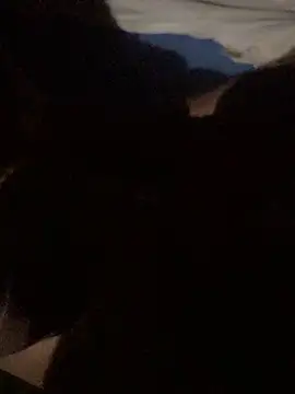 Snapshot of Andreizinho34 chatting on January 17, 2026, 8:40 am Andreizinho34 online show from January 17, 2026, 8:40 am