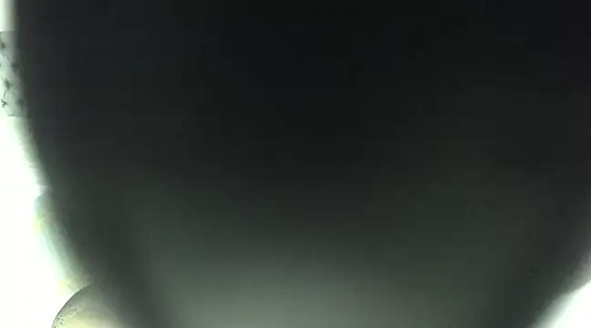 Snapshot of elizabeth_swan18 chatting on March 17, 2025, 12:46 pm elizabeth swan18 online show from March 17, 2025, 12:46 pm