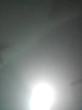 royall queen online show from January 6, 2026, 2:43 pm