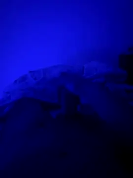 MoroccanDickkkkkk online show from November 26, 2025, 10:37 am