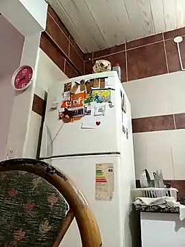 Tiococo420 online show from October 4, 2025, 1:12 pm