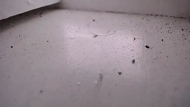 Valensx oficiall online show from April 29, 2026, 7:31 pm