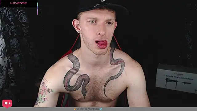 Snapshot of andrewxbi chatting on February 8, 2026, 12:03 pm andrewxbi online show from February 8, 2026, 12:03 pm