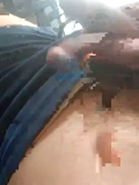 Snapshot of perplexedsoul chatting on December 15, 2025, 7:36 am perplexedsoul online show from December 15, 2025, 7:36 am