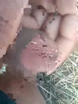 Snapshot of perplexedsoul chatting on December 1, 2025, 9:21 am perplexedsoul online show from December 1, 2025, 9:21 am