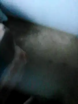 Snapshot of mydickbedarkandthick chatting on November 21, 2025, 3:11 pm mydickbedarkandthick online show from November 21, 2025, 3:11 pm