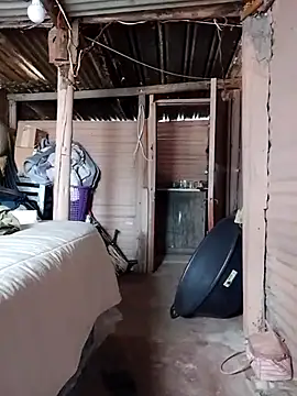 paptsimo online show from April 8, 2026, 11:44 am