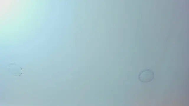 Snapshot of Antonella_west chatting on March 12, 2026, 9:08 pm Antonella west online show from March 12, 2026, 9:08 pm