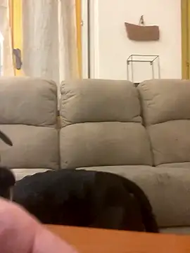 BestSexForYou online show from January 16, 2026, 2:15 am