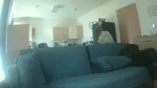 Snapshot of avamaxwell chatting on May 21, 2026, 11:29 am avamaxwell online show from May 21, 2026, 11:29 am