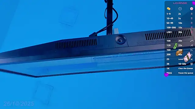 Sebax Young online show from October 26, 2025, 9:26 pm