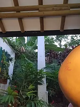 Yessica Lopezz online show from February 10, 2026, 11:20 am