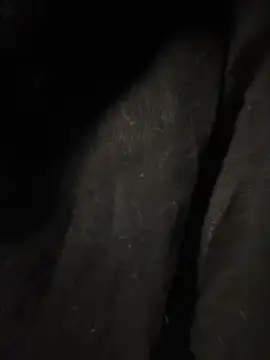 Snapshot of pikuslordpll chatting on December 23, 2025, 8:13 am pikuslordpll online show from December 23, 2025, 8:13 am