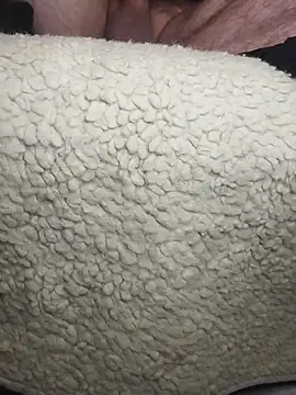 peepformance online show from December 18, 2025, 7:35 am