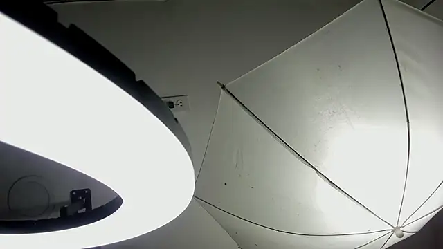 Snapshot of Starbutterflyy_ chatting on April 3, 2026, 4:41 am Starbutterflyy online show from April 3, 2026, 4:41 am