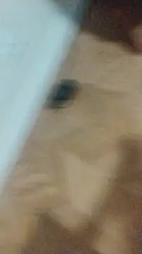 Snapshot of LeoMaduroSP chatting on January 17, 2026, 12:48 am LeoMaduroSP online show from January 17, 2026, 12:48 am