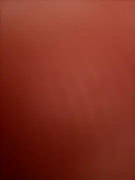 raaj1231 online show from April 13, 2026, 11:58 am