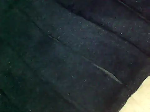 Snapshot of 20cmloiro chatting on February 5, 2026, 7:26 am 20cmloiro online show from February 5, 2026, 7:26 am