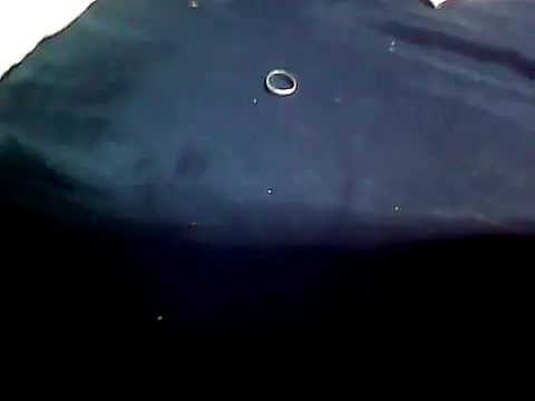 Snapshot of 20cmloiro chatting on January 14, 2026, 4:16 am 20cmloiro online show from January 14, 2026, 4:16 am