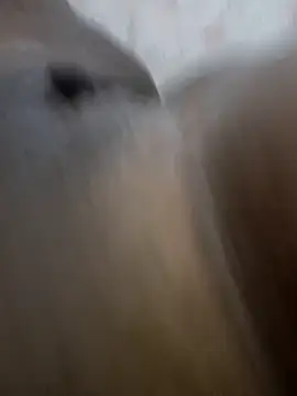 Snapshot of morenappkuda chatting on November 29, 2025, 1:33 pm morenappkuda online show from November 29, 2025, 1:33 pm