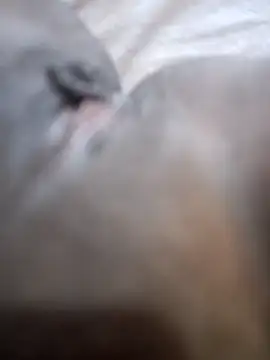 Snapshot of morenappkuda chatting on October 1, 2025, 6:56 pm morenappkuda online show from October 1, 2025, 6:56 pm