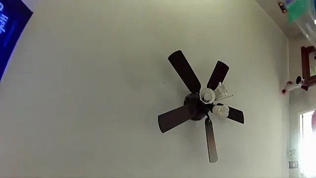 Snapshot of 33Stella chatting on January 13, 2026, 6:50 am 33Stella online show from January 13, 2026, 6:50 am