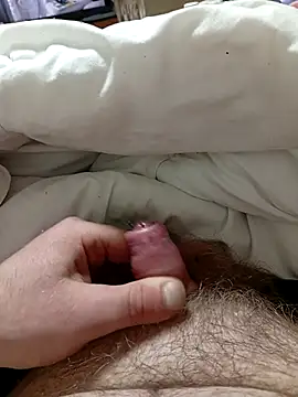 Kubous online show from December 21, 2025, 4:41 pm