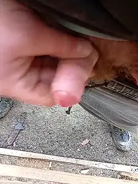 Kubous online show from February 24, 2026, 10:49 am