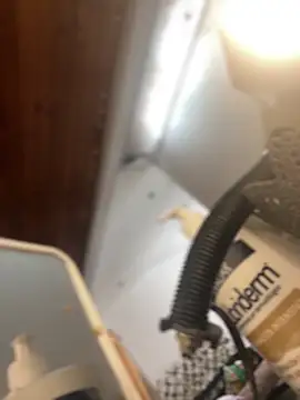 Noa Todokoro online show from September 16, 2025, 3:02 pm