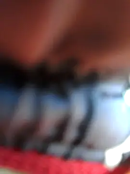 chef82 online show from January 11, 2026, 3:08 pm