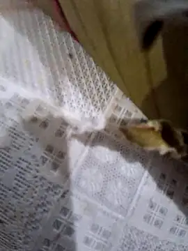 dolliette24 online show from November 10, 2025, 6:02 pm