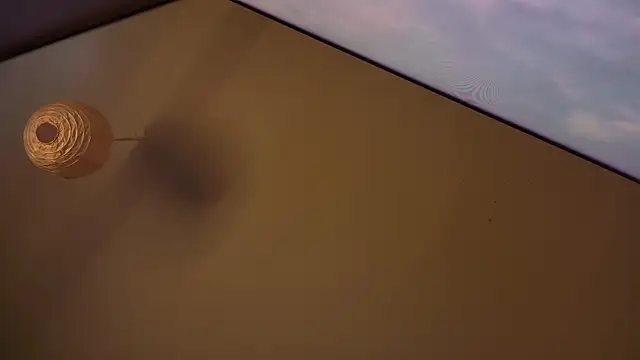 MasterDaddyCool online show from January 8, 2026, 7:31 pm