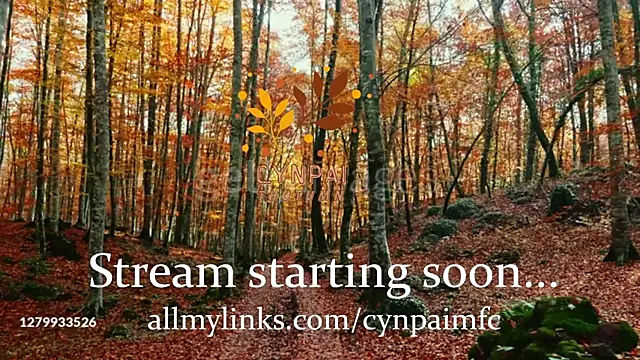 Snapshot of Cynpai chatting on November 17, 2025, 4:27 am Cynpai online show from November 17, 2025, 4:27 am