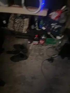 silverbay-456 online show from February 20, 2026, 2:19 pm